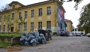 ŽALIŲJŲ ATLIEKŲ TVARKYMUI – PASIRINKIMO GALIMYBĖS