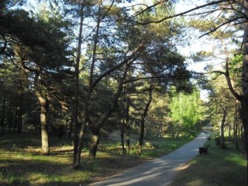 SMILTYNĖJE ATIDAROMAS ORIENTAVIMOSI PARKAS