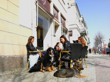 Pristatytas draugiškų gyvūnams vietų žemėlapis