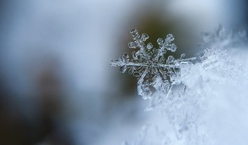 Numatomas smarkus snygis ir plikledis