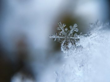 Numatomas smarkus snygis ir plikledis