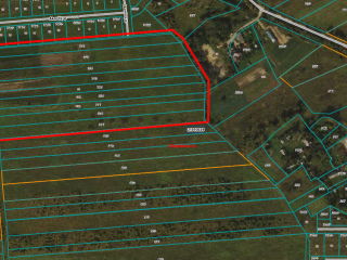 INFORMACIJA APIE PLANUOJAMĄ RENGTI DETALŲJĮ PLANĄ